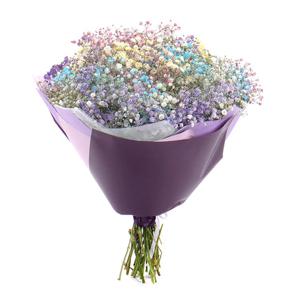 03000646_kytica-farebna-gypsophila