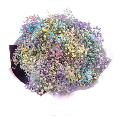 03000646_kytica-farebna-gypsophila