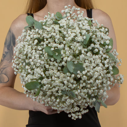 03001075_kytica-gypsophila-a-eukalyptus