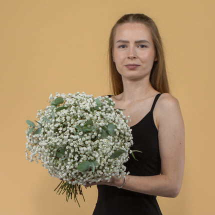 03001075_kytica-gypsophila-a-eukalyptus