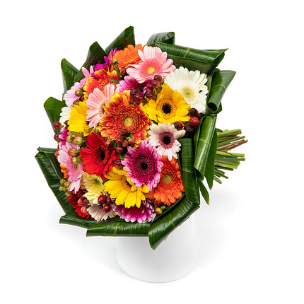 03001357_passion-farebne-mini-gerbery