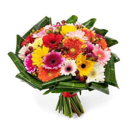 03001357_passion-farebne-mini-gerbery