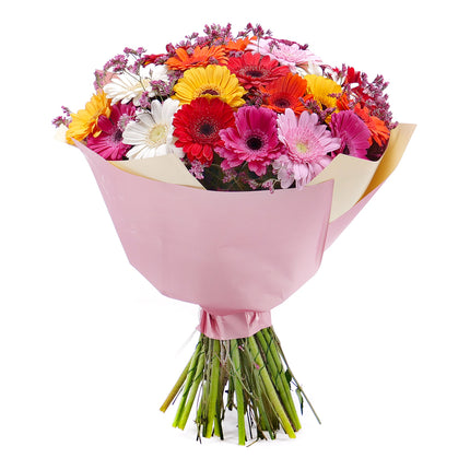 03001562_sweet-farebne-gerbery