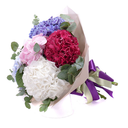 03001565_sweet-farebne-hortenzie
