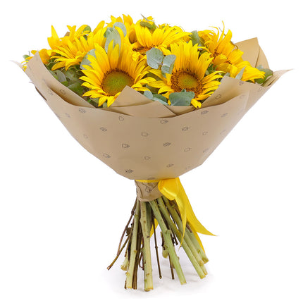 03001675_sweet-slnecnice