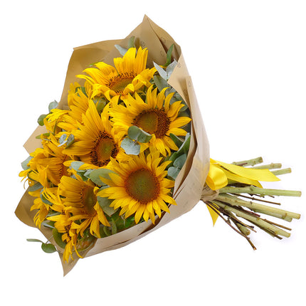 03001675_sweet-slnecnice