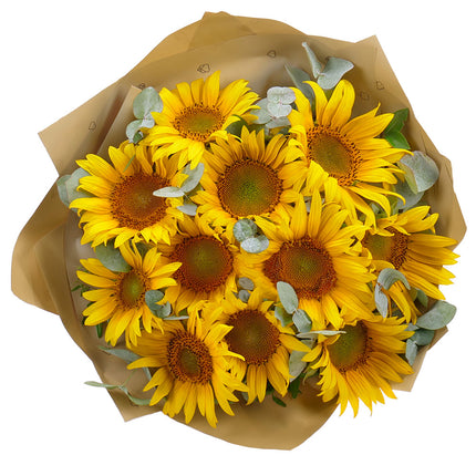 03001675_sweet-slnecnice