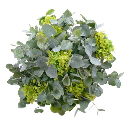 03001810_kytica-eukalyptus-in-eterno-tmavo-zelena-hortenzia