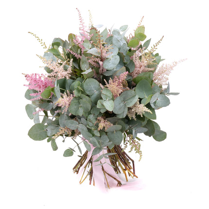 03002104_nature-kytica-eukalyptus-a-astilbe