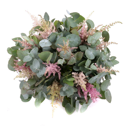 03002104_nature-kytica-eukalyptus-a-astilbe