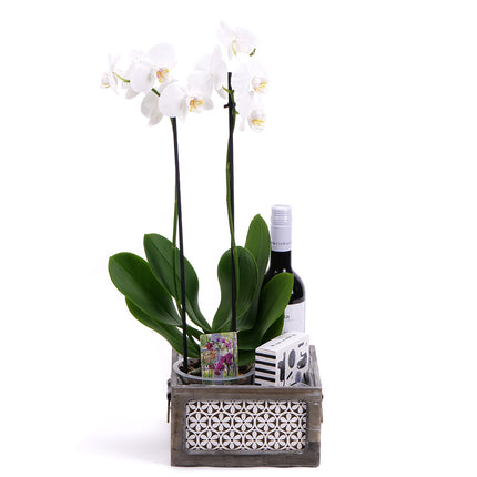 03002116_orchidea-v-drevenom-boxe-a-vino-berta